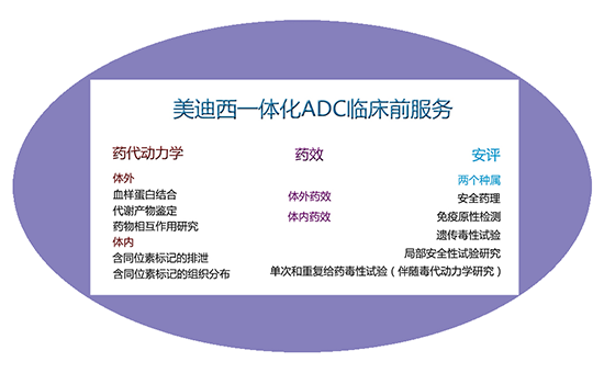 K8官网一体化ADC临床前服务