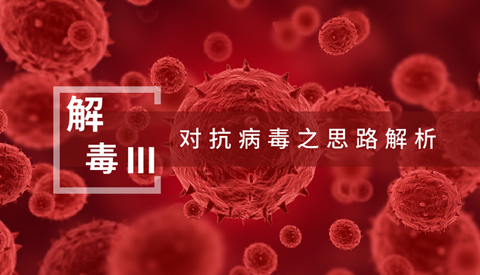 【解“毒”III】对抗病毒之思路解析