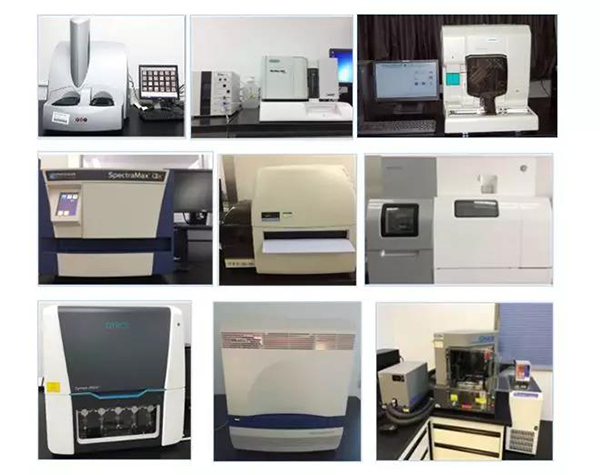 K8官网生物技术药物分析部门拥有SpectraMaxM4/M5/i3x, MSD, Luminex, Biacore 8K, Envision, Gyrolab，ABI7500 qPCR等全方位多功能的技术平台，利用LIMS系统实施全面的实验室信息化管理，给予全面符合FDA/CFDA/OECD GLP规范要求的生物技术药物分析服务。