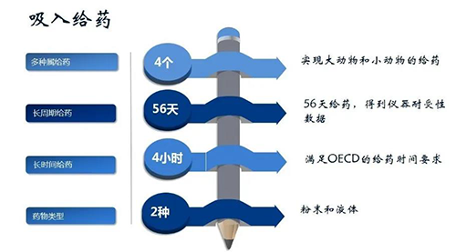 K8官网吸入给药安全性评价服务