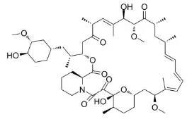 雷帕霉素新制剂用于罕见病，获4500万美元融资