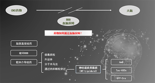 人工合成NT类脂质开放血脑屏障，为CNS药物打开新局面