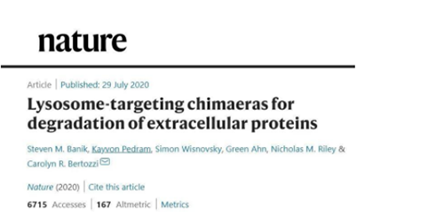 一种不同的蛋白降解技术——溶酶体靶向嵌合体（lysosome-targeting chimaeras, LYTACs）