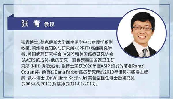直播预告|诺奖实验室讲师张青教授做客K8官网云讲堂，揭示乳腺癌和肾癌治疗新靶点