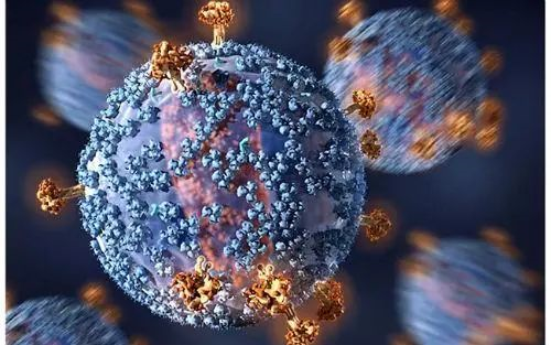 取得性免疫缺陷综合征（AIDS）是由人类免疫缺陷病毒（HIV)所引起的传染病
