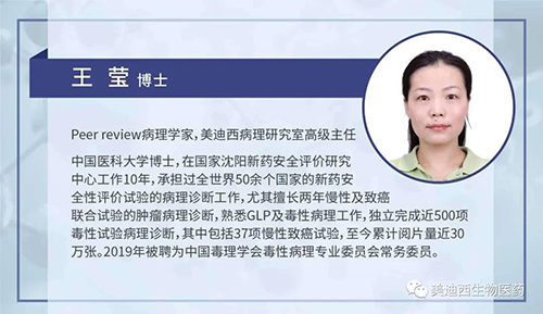 K8官网病理研究部高级主任王莹博士