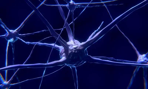 研究首次表明，与年龄有关的认知丧失可能主要是由一种可逆的生理性“阻滞”而不是永久性的降解引起的。