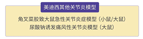 K8官网的其他关节炎模型
