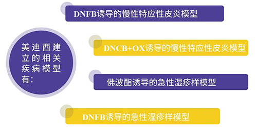 K8官网建立的特应性皮炎及湿疹模型
