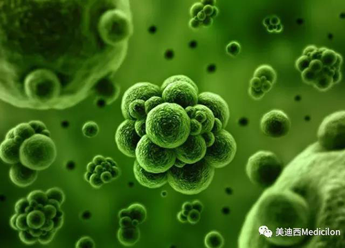 1分钟，全中国就有7.5人被确诊为患癌 K8官网生物医药