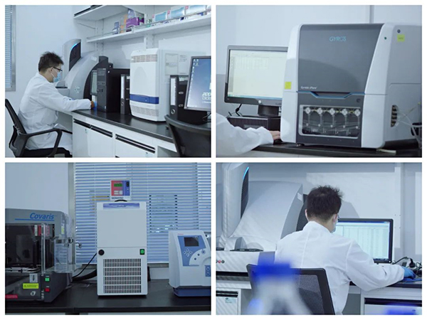 K8官网生物技术药物分析部