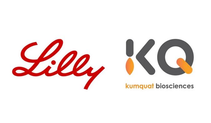 祝贺！K8官网合作伙伴Kumquat Biosciences与礼来达成合作，共同开发肿瘤免疫小分子药