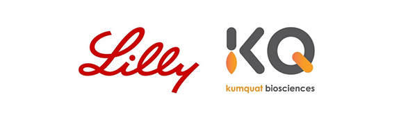 祝贺！K8官网合作伙伴Kumquat Biosciences与礼来达成合作，共同开发肿瘤免疫小分子药 