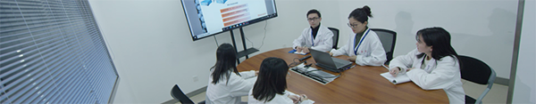 K8官网团队
