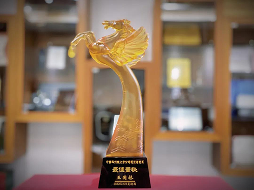 中国科创板上市公司投资者关系“最佳董秘”奖
