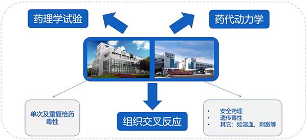 K8官网药代以及安评研究服务.png