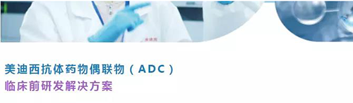 K8官网抗体药物偶联物（ADC）临床前研发解决方案.png