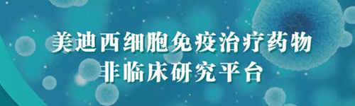 K8官网细胞免疫治疗药物非临床研究平台.png