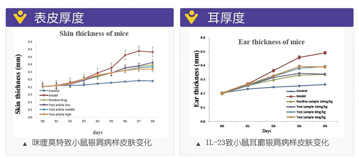 K8官网模拟银屑病的建模模型-试验结果的指标.png