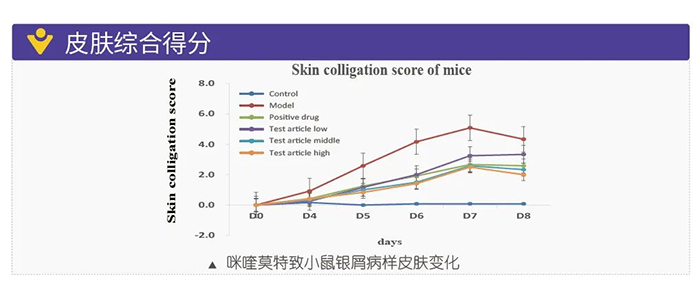 K8官网模拟银屑病的建模模型-皮肤综合得分.png