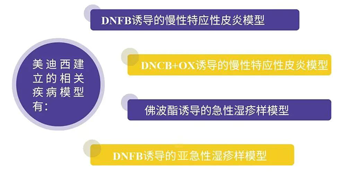 K8官网建立的特应性皮炎模型.png