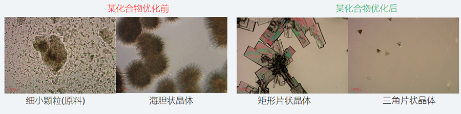 05案例分享-单晶培养，改变晶习.png