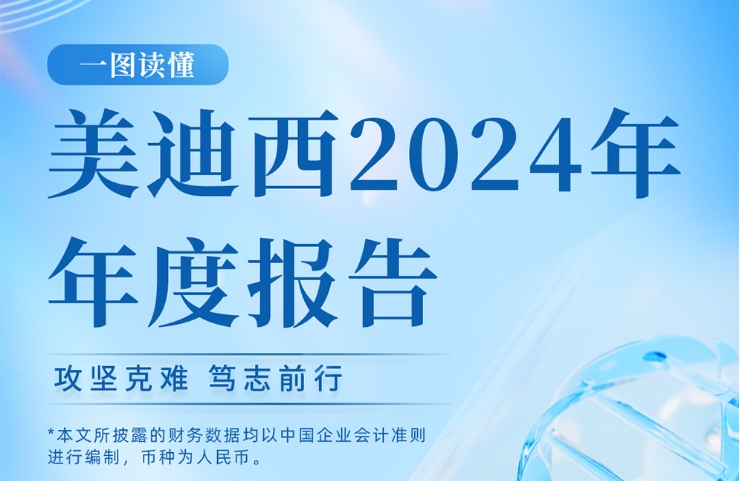 K8官网2024年年度报告